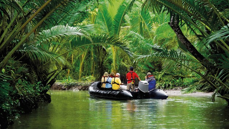 HLKF Zodiac im Regenwald