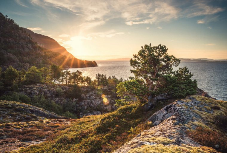 Norwegens Fjord-Weltnaturerbe ab Hamburg